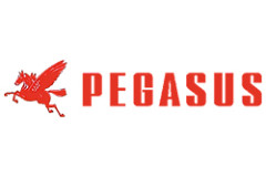 PEGASUS - запчасти швейного ПРОМЫШЛЕННОГО оборудования